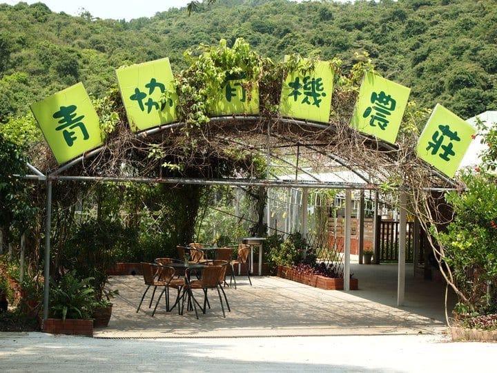 親子有機農莊一日遊