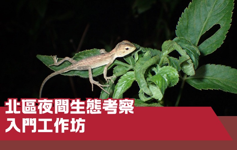 I08P-260912 - 北區夜間生態考察入門工作坊